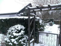 Garten 03