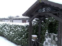 Garten 05