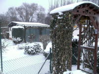 Garten 09