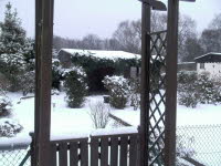 Garten 10