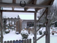 Garten 12