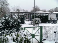 Garten 19