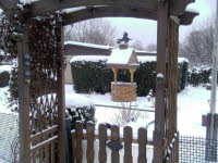 Garten 20