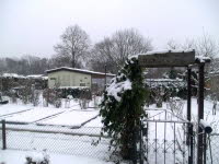 Garten 23