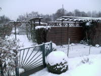 Garten 29