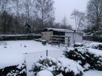 Garten 31