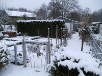 Garten 34