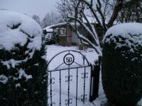 Garten 50