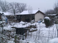 Garten 51