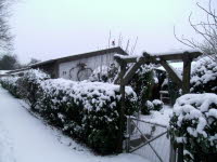 Garten 54