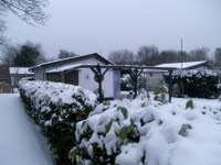 Garten 55