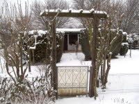 Garten 62