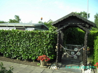 Laube_05
