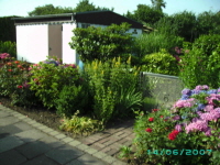 Laube_06