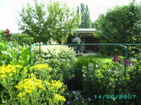Laube_09