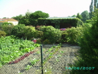 Laube_10