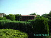 Laube_11