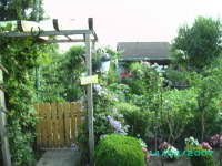Laube_12