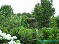 Laube_14