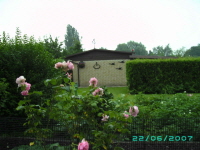 Laube_20
