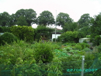 Laube_26