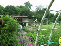 Laube_27