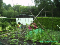Laube_32