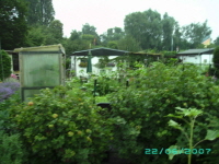 Laube_35