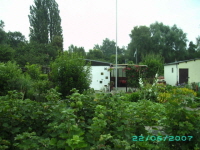 Laube_36