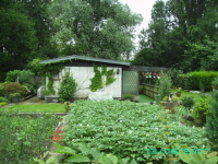 Laube_41