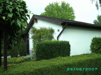 Laube_47
