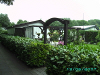 Laube_55