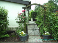 Laube_56