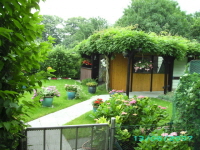 Laube_60