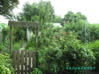 Laube_64